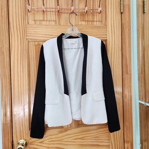 Chic Color Blocked Blazer